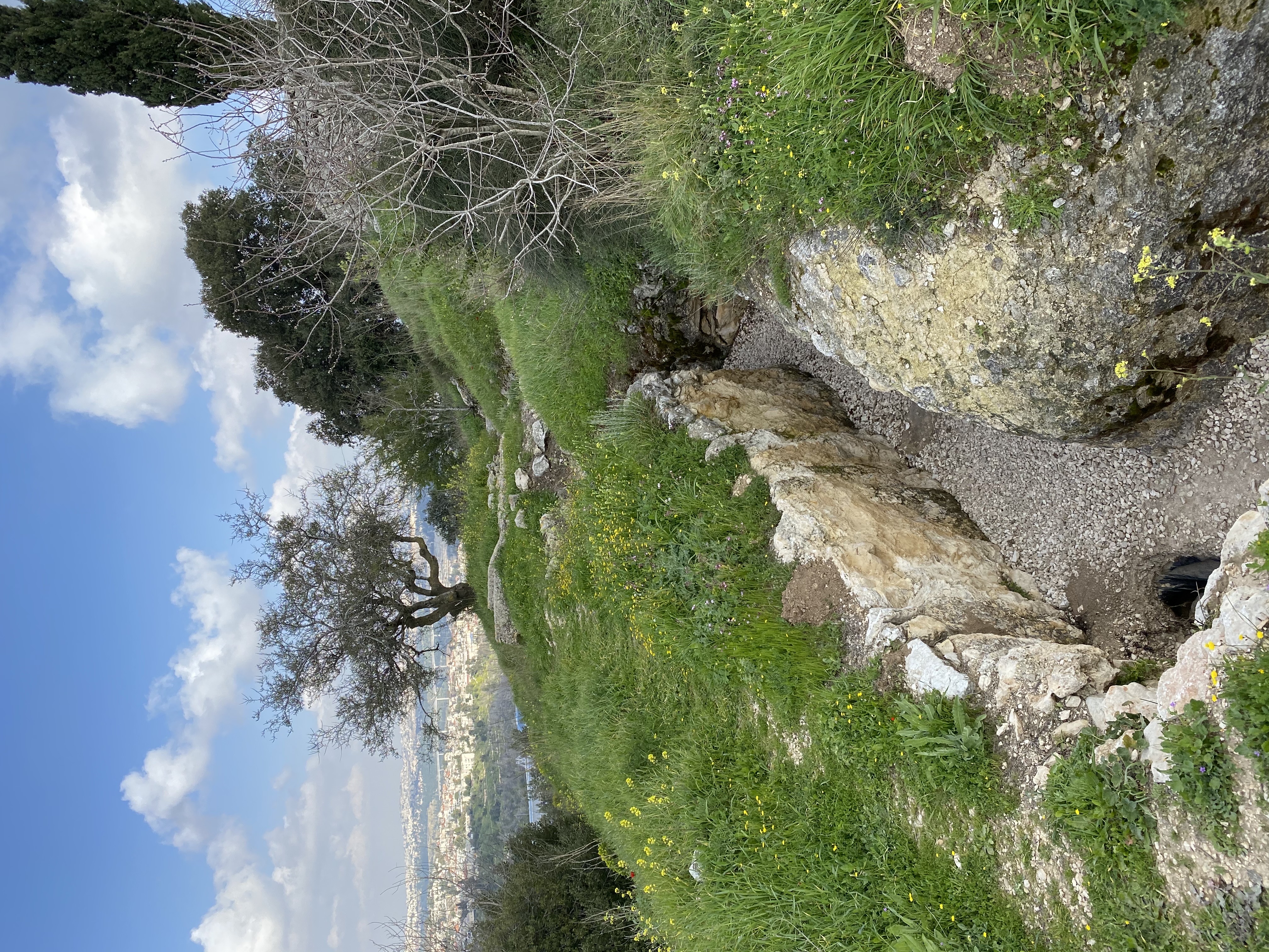 صورة القسطل 1
