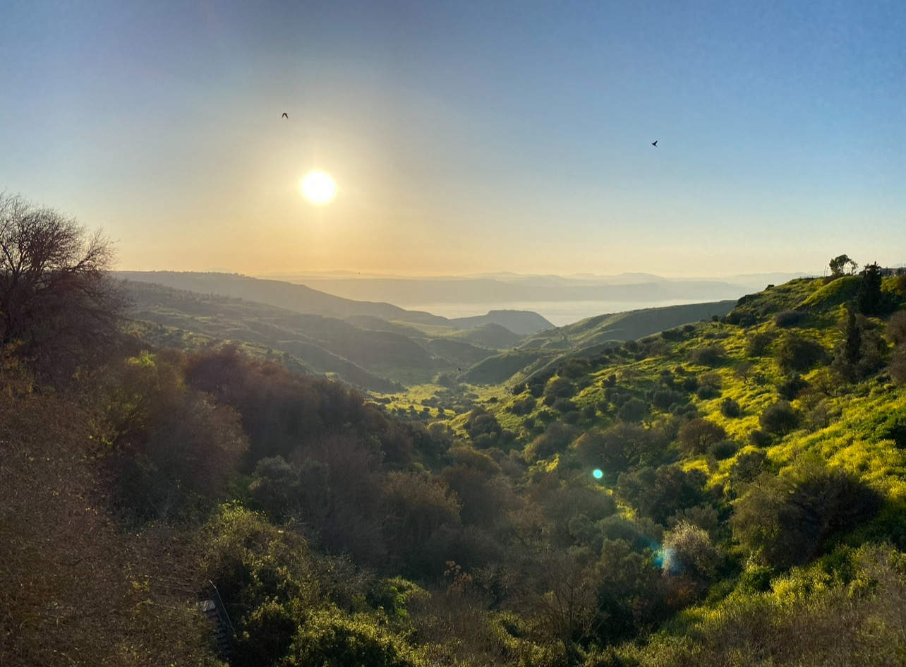 صورة عين فيق 2