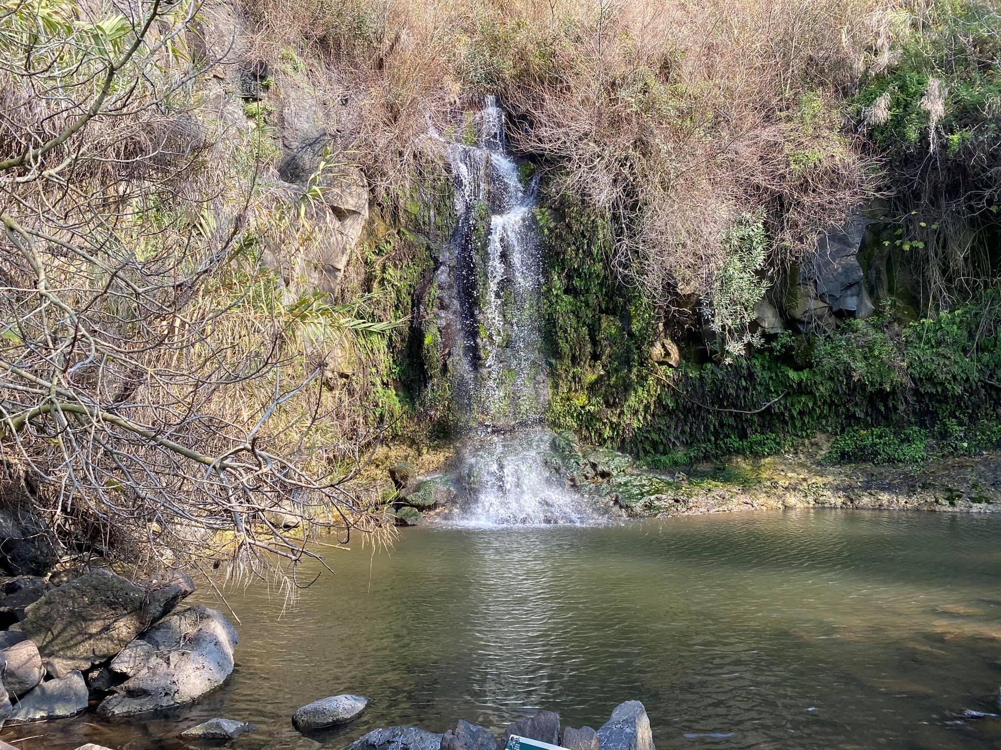 صورة مسار وادي السمك (الدفيلة) 1