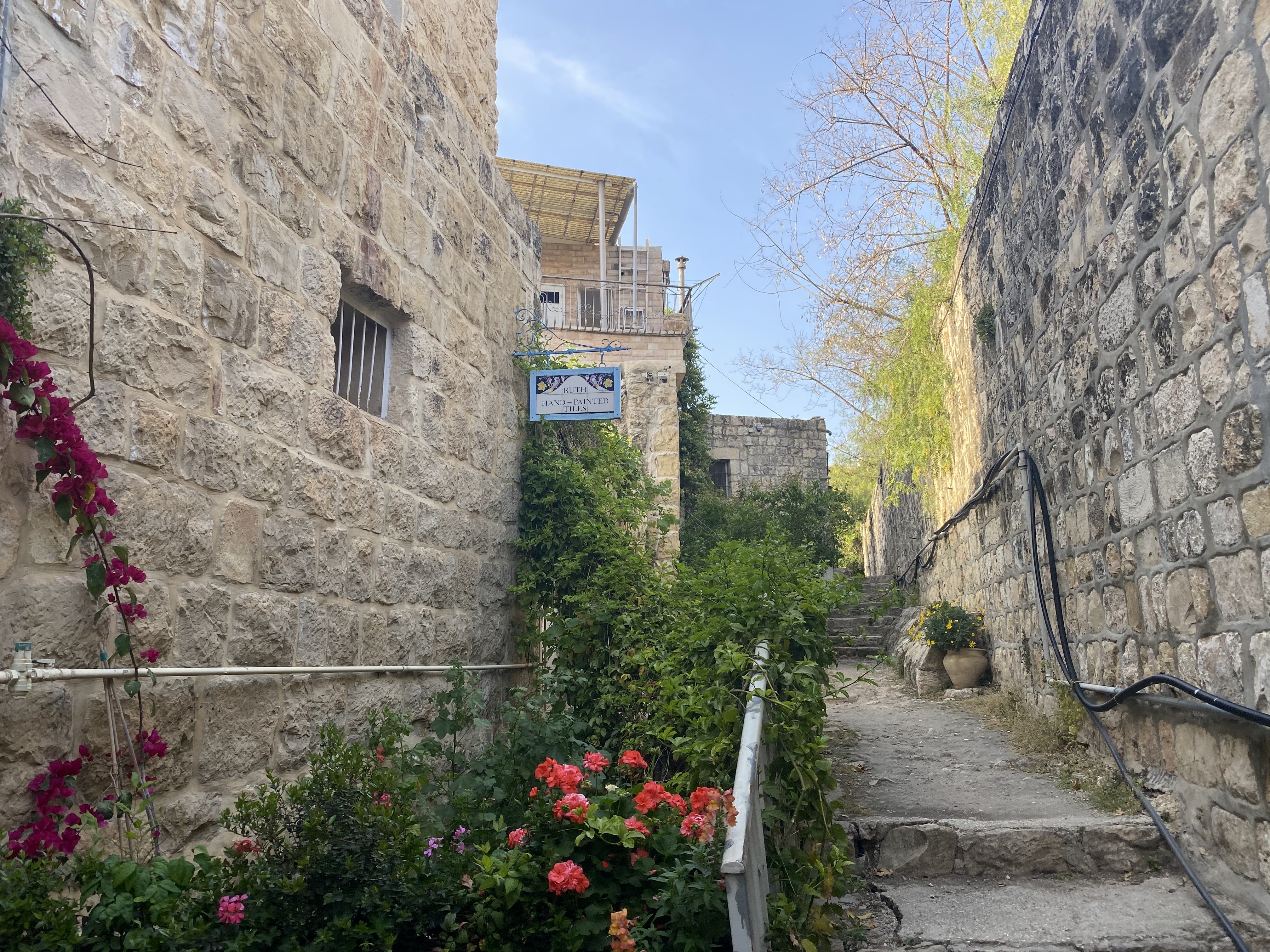 صورة عين كارم 2