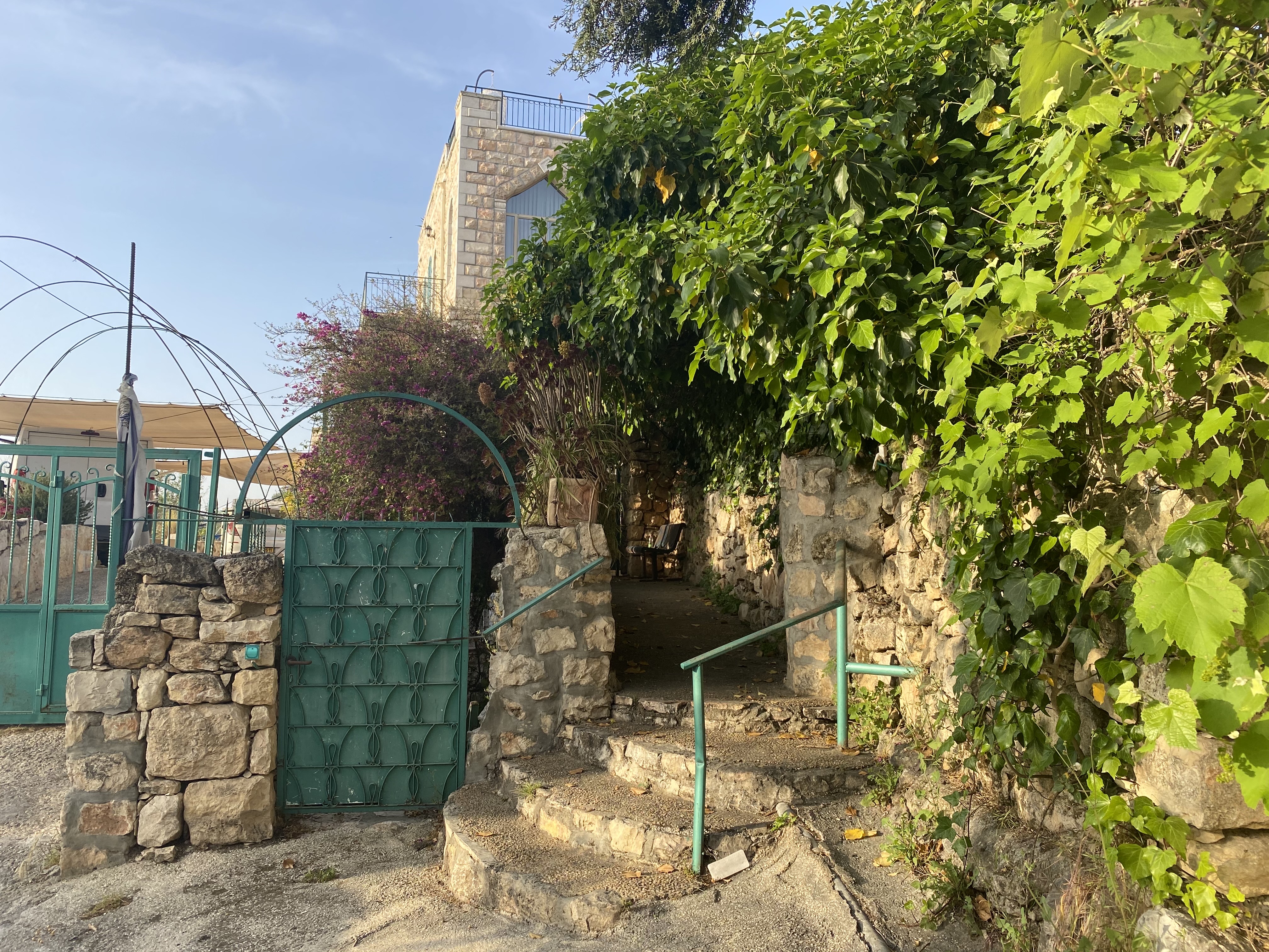 صورة عين كارم 3