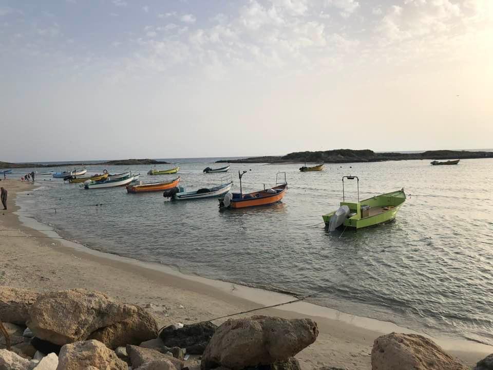 صورة شاطئ "دور" - الطنطورة 1