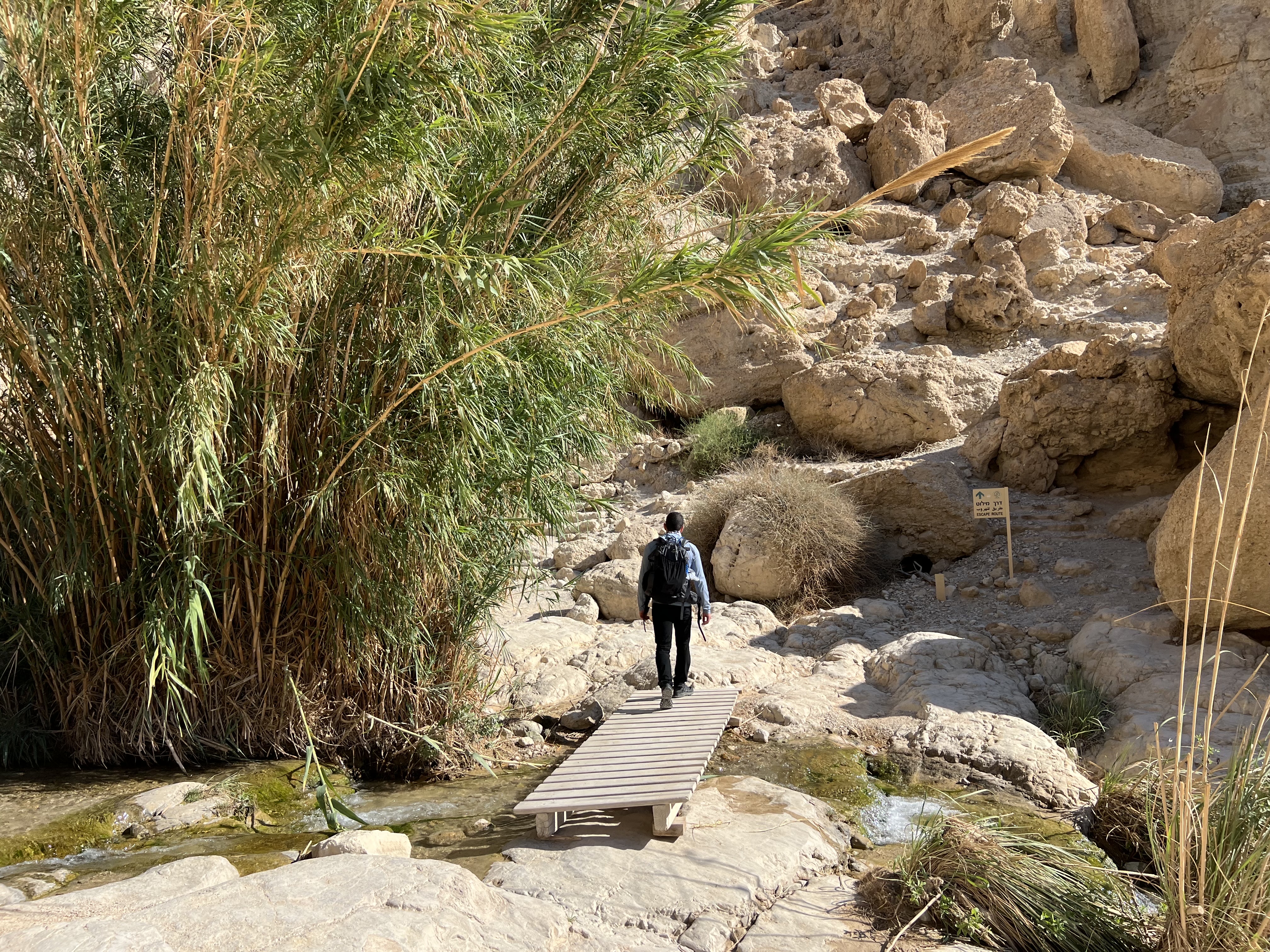 صورة مسار وادي السدر 2