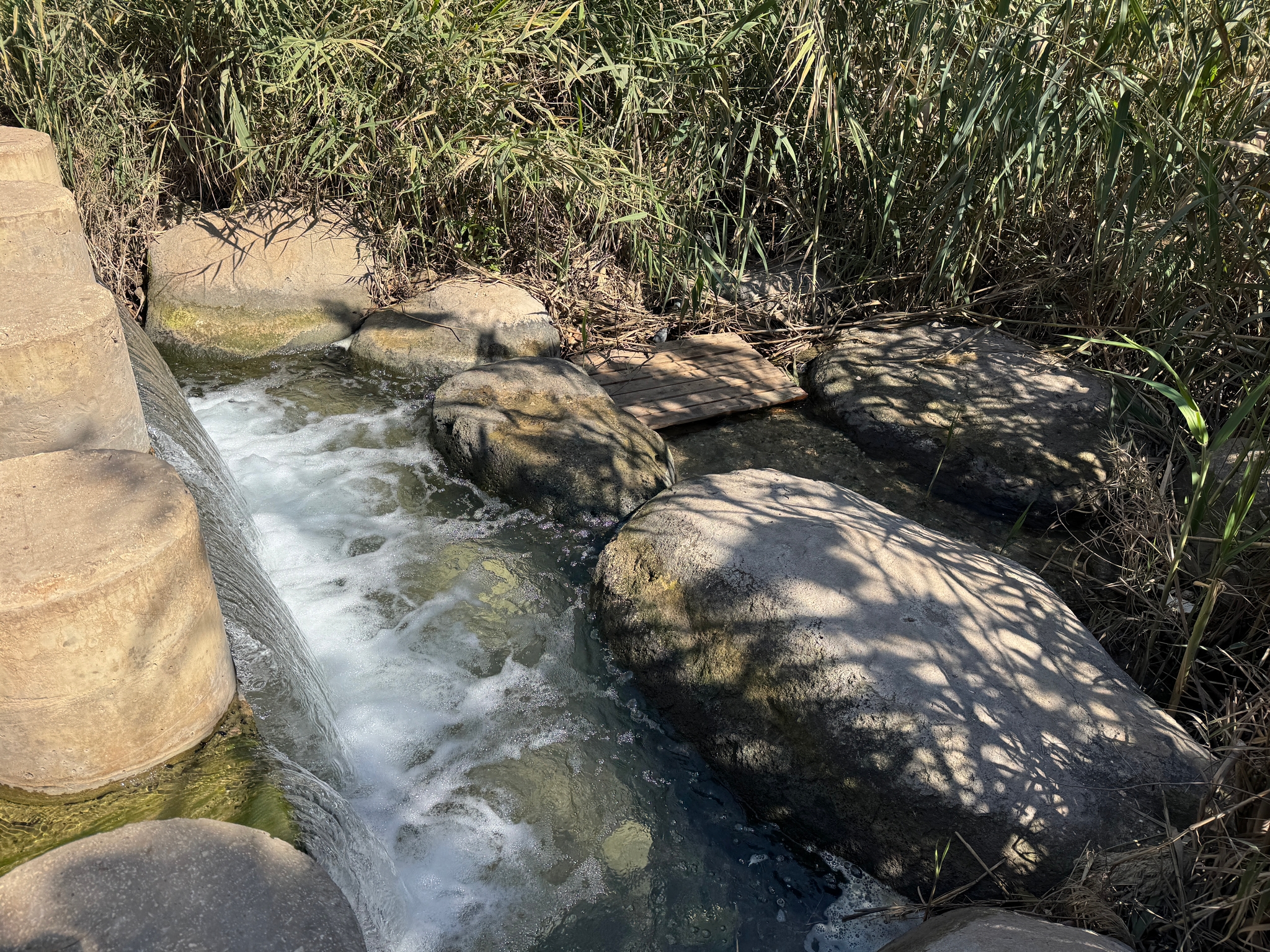 صورة عين جدعونة 1