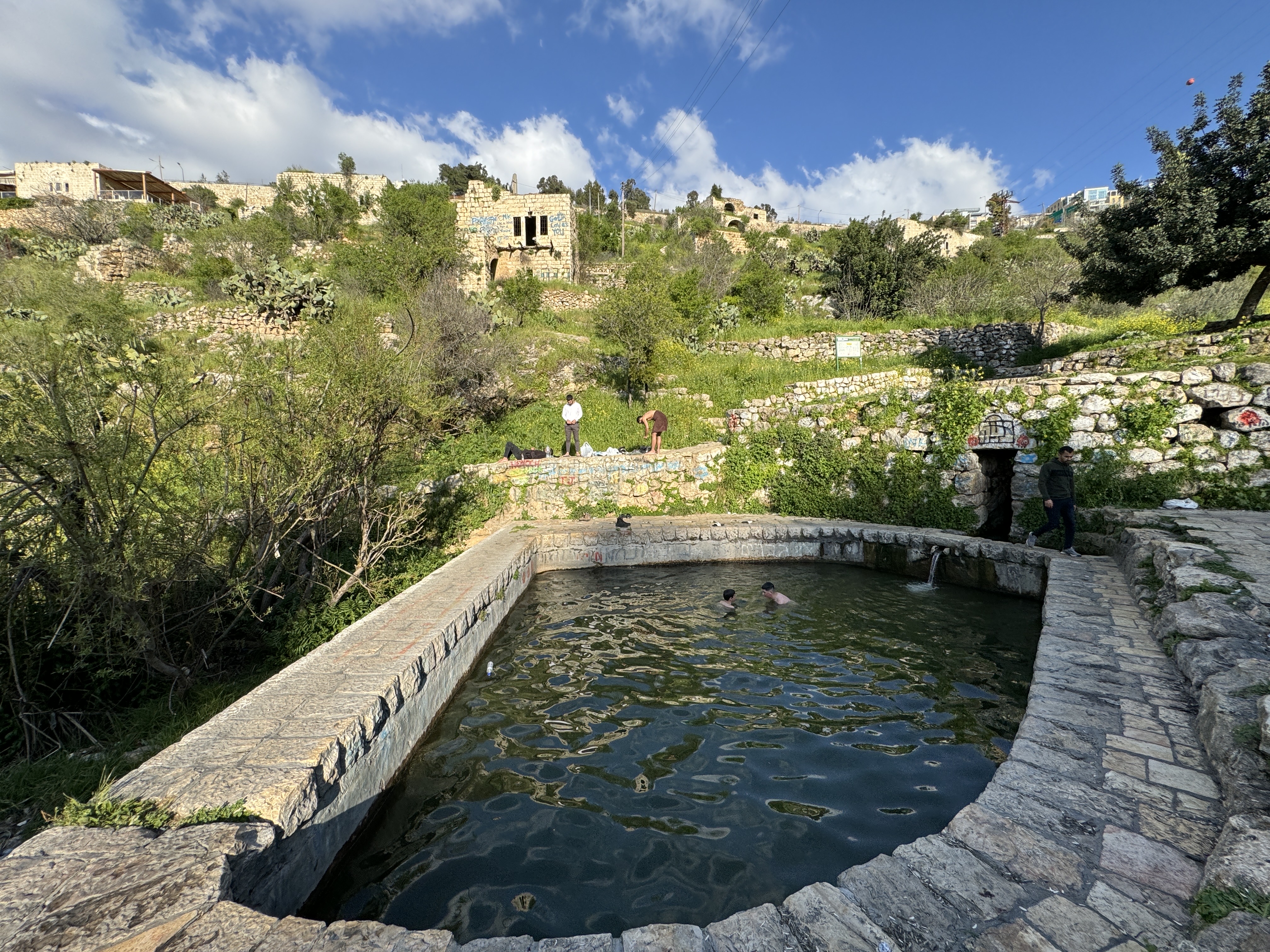 صورة قرية لفتا المهجرة 3