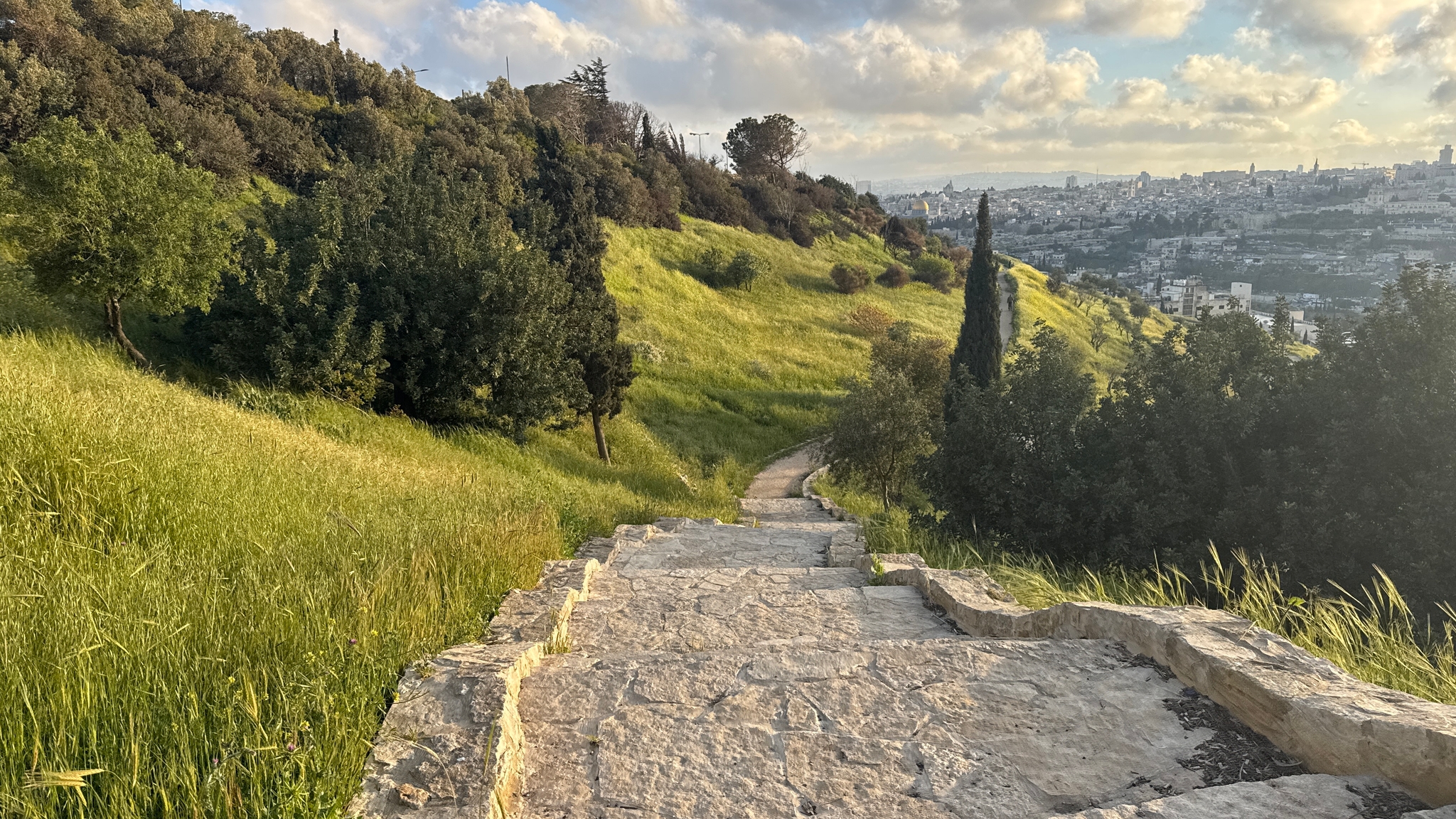 صورة مطل متنزه الصوانة 2