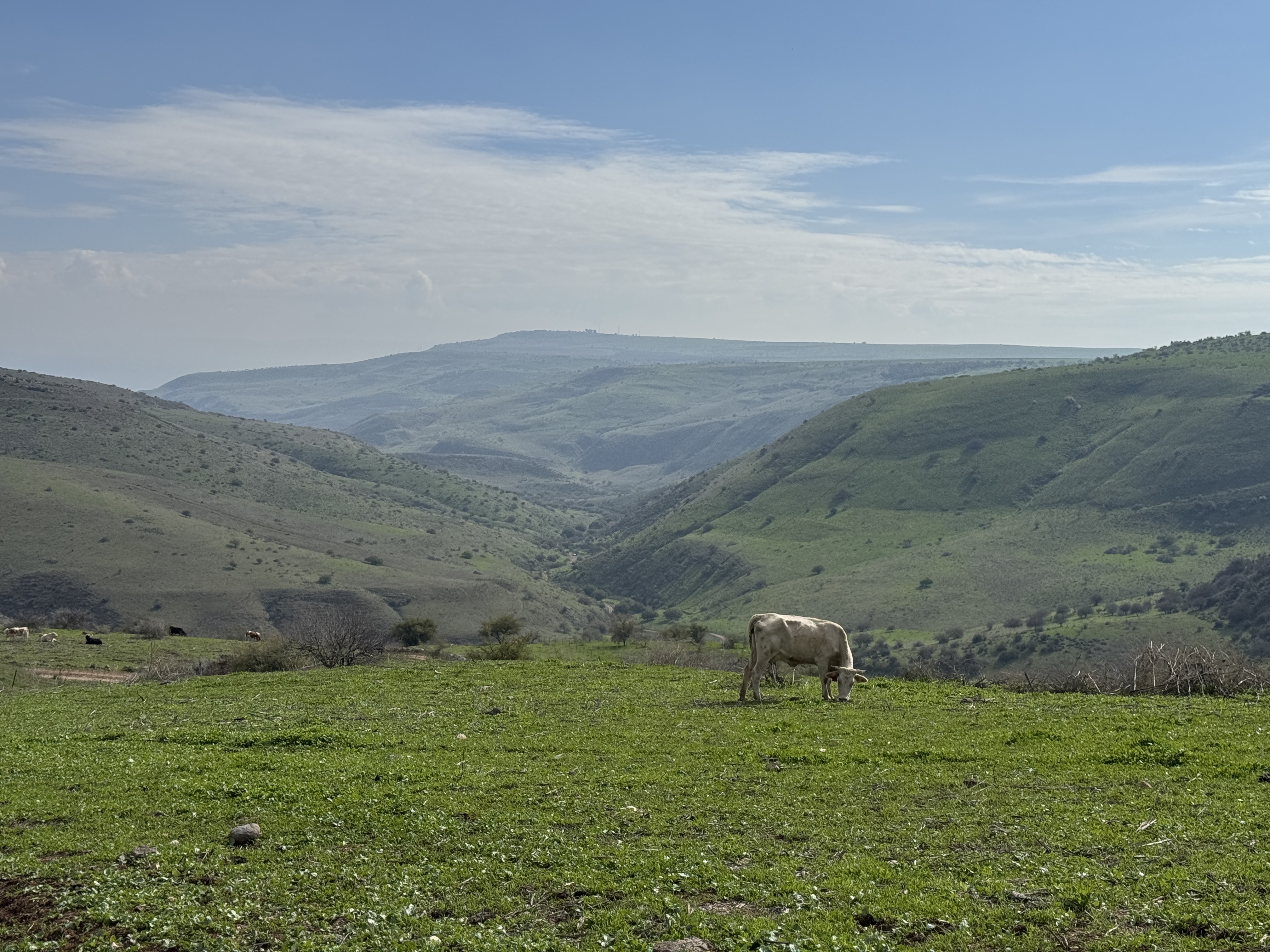 صورة مسار وادي البيرة