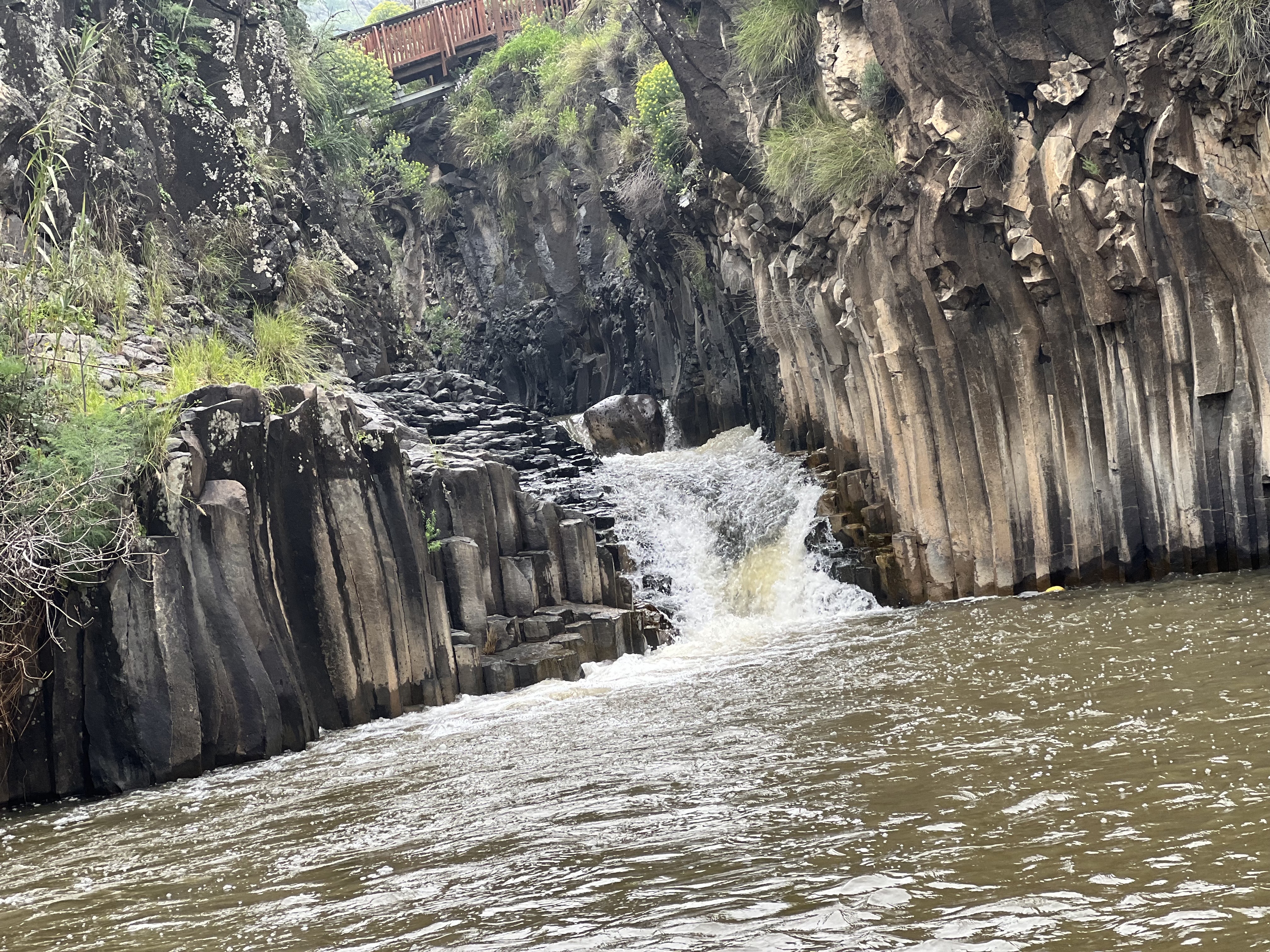 صورة بركة المسدسات 1