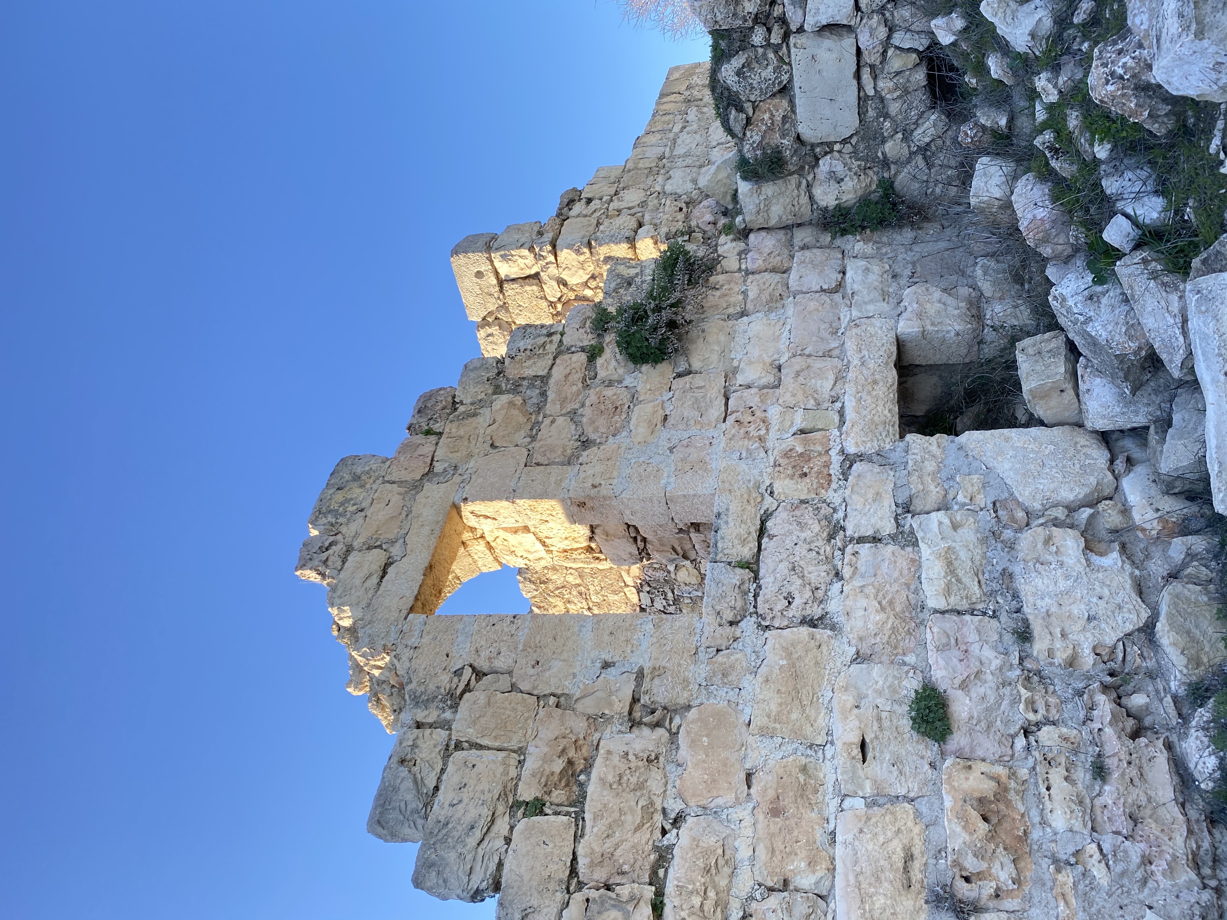 صورة قرية صوبا المهجرة 2