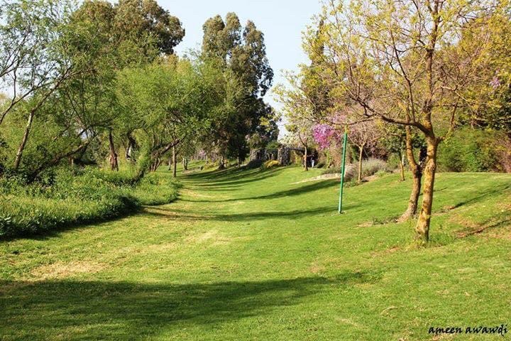 صورة ممشى نهر الاردن 3
