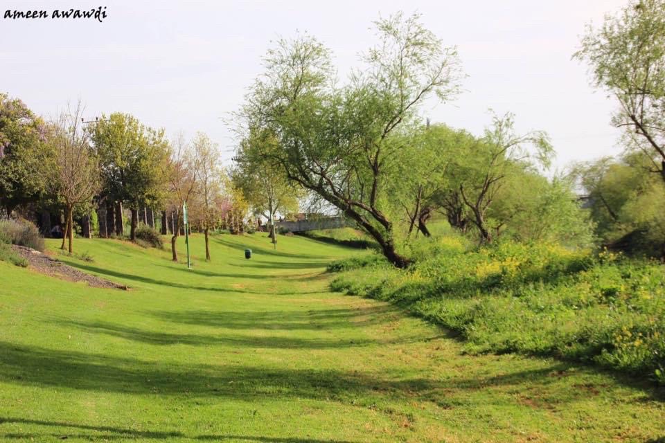 صورة ممشى نهر الاردن 2