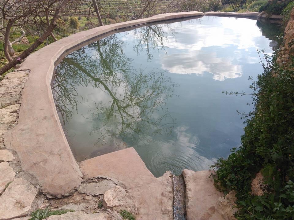 صورة عين العليك 2