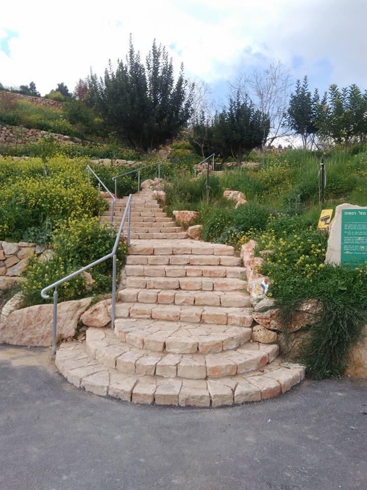 صورة عين العليك 3