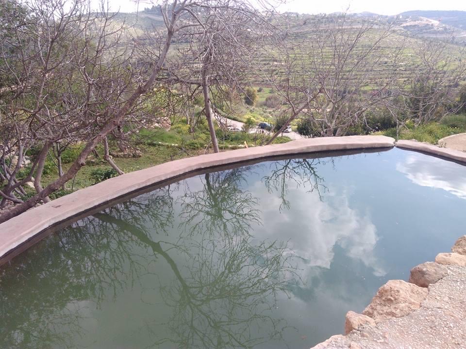 صورة عين العليك