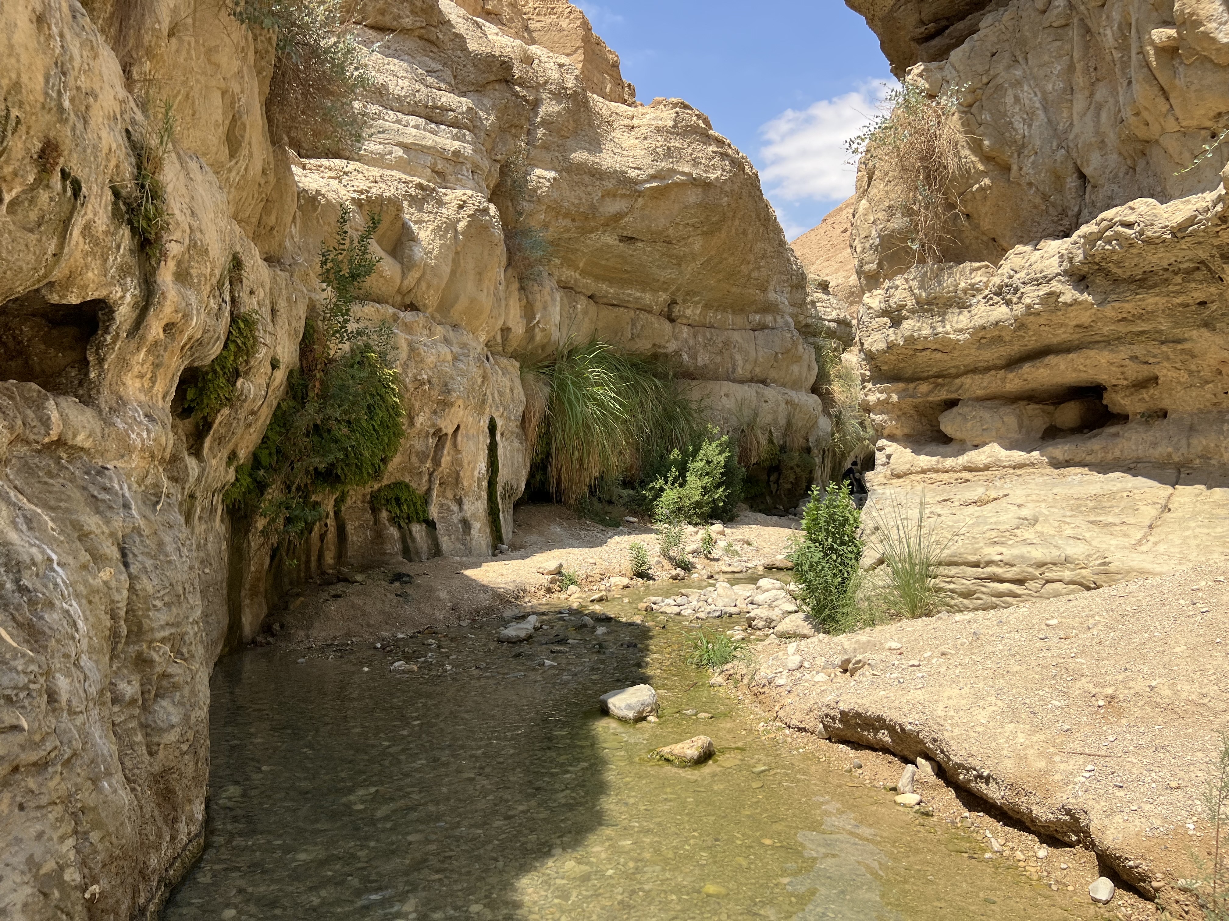 صورة مسار وادي العريجة 3