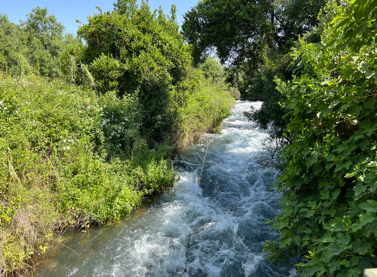 صورة محمية تل القاضي (دان)