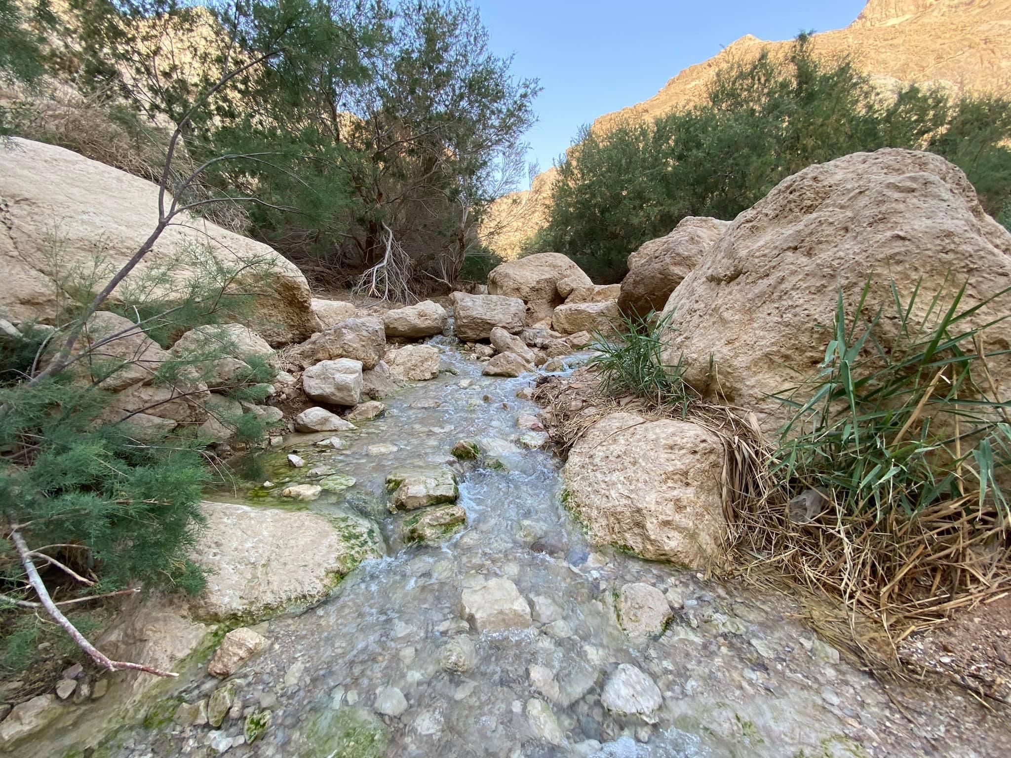 صورة مسار عين بوكيك 3