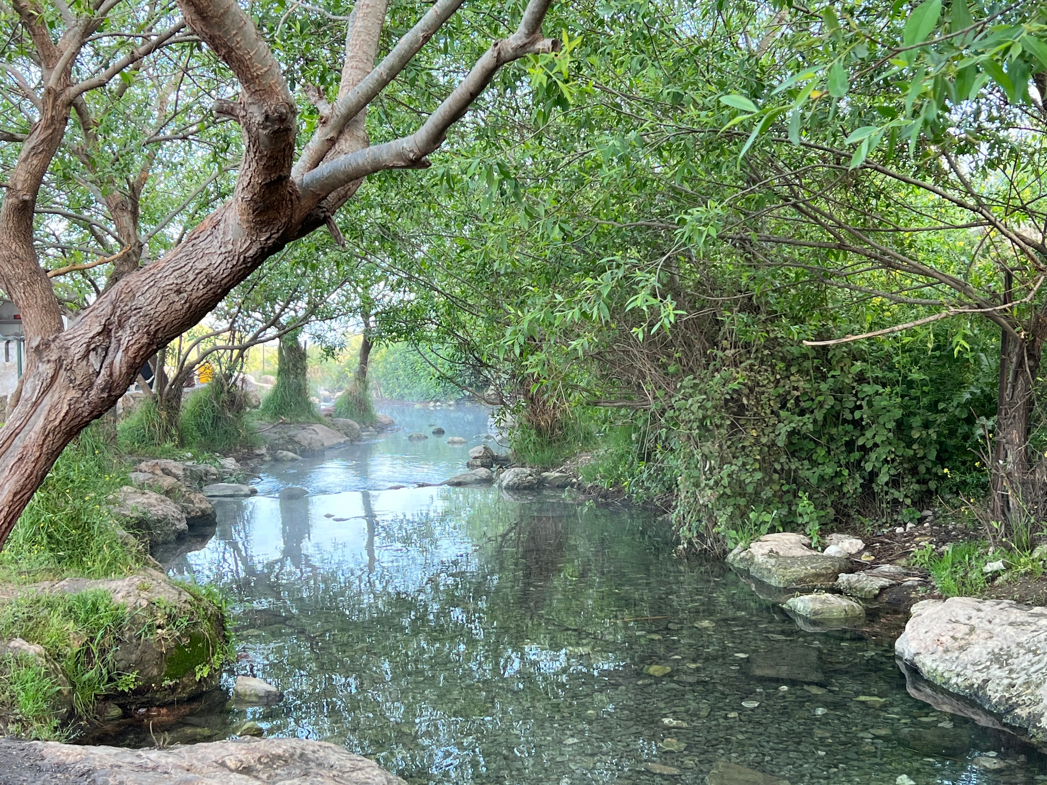 صورة نبع راس العين 3