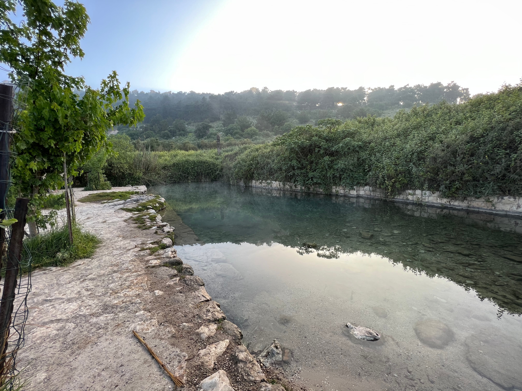 صورة نبع راس العين