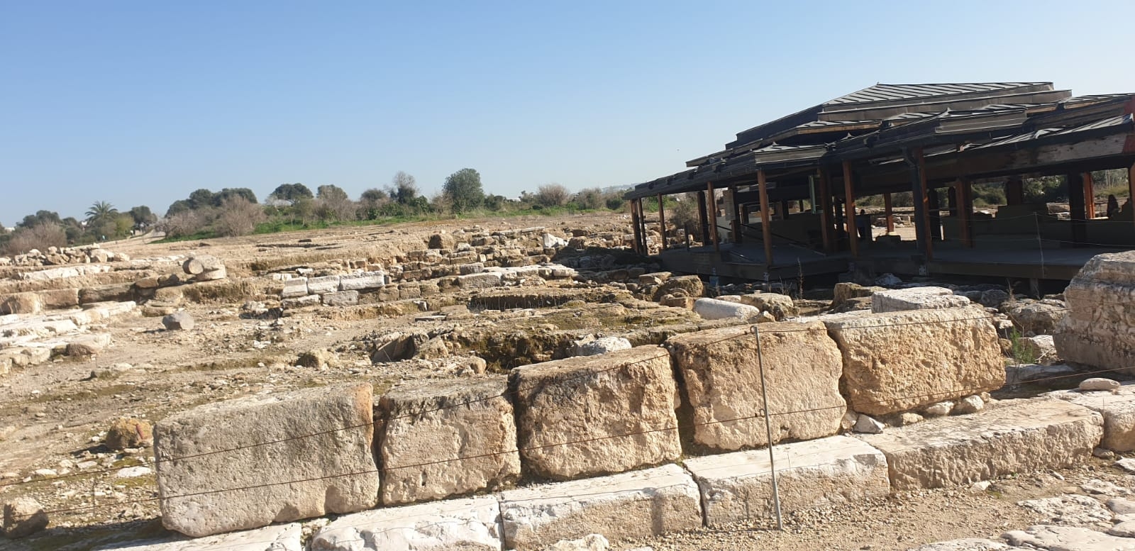 صورة الحديقة الوطنية صفورية 3