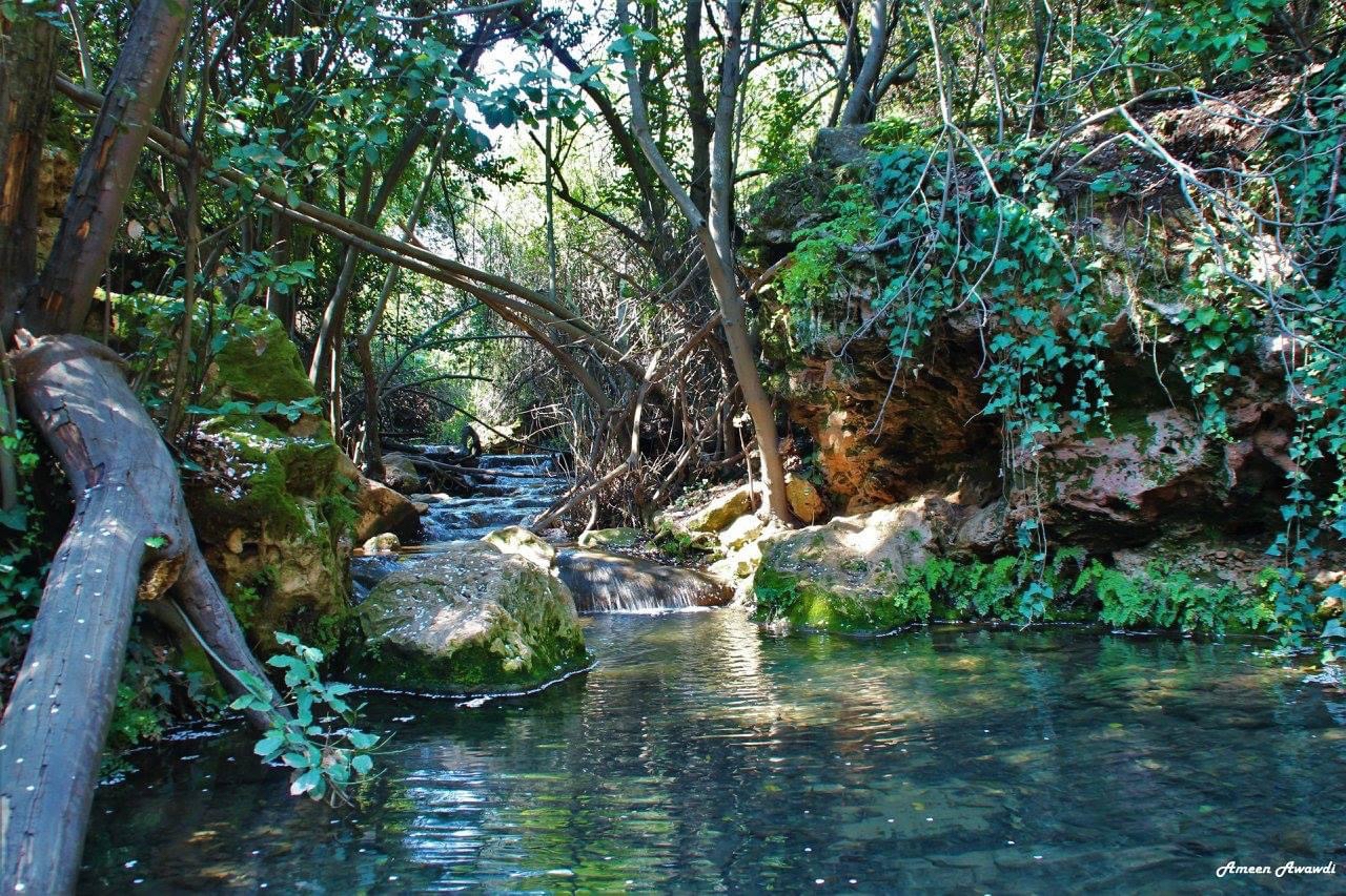 صورة مسار وادي عمود العلوي