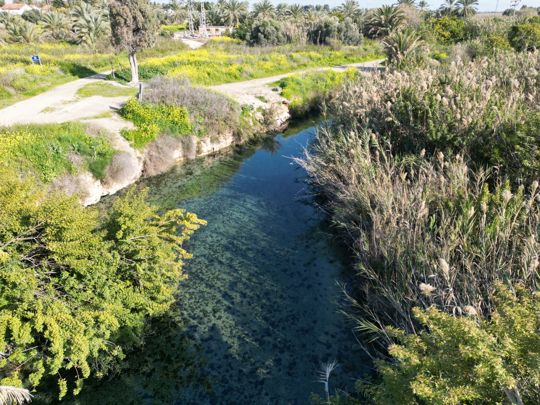 صورة وادي الجمّاعين 1