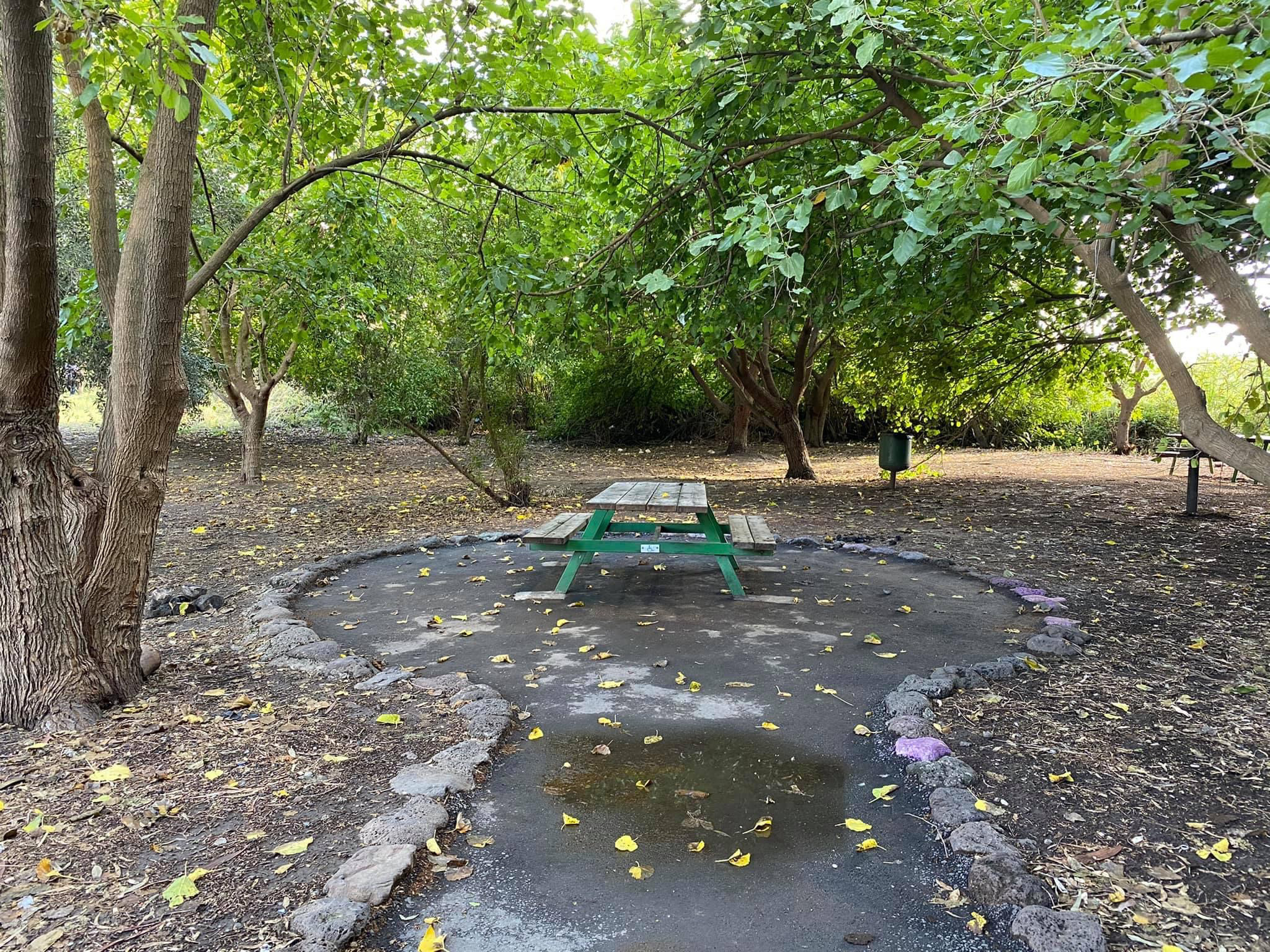 صورة متنزه الدردرة