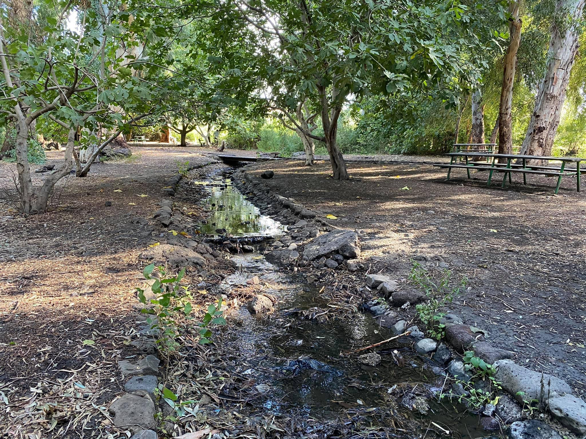 صورة متنزه الدردرة 3