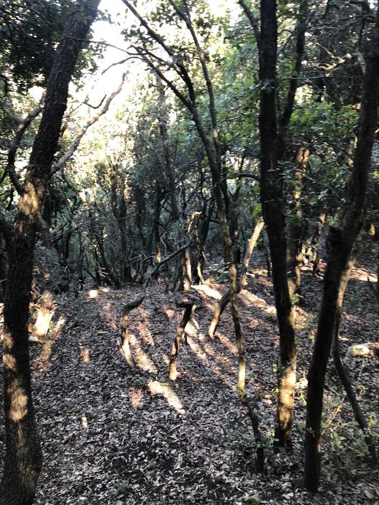 صورة مسار قمة جبل الجرمق 3