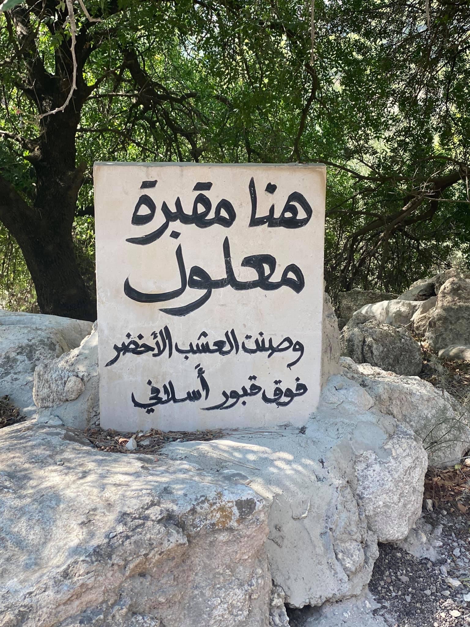 صورة قرية معلول المهجرة 3