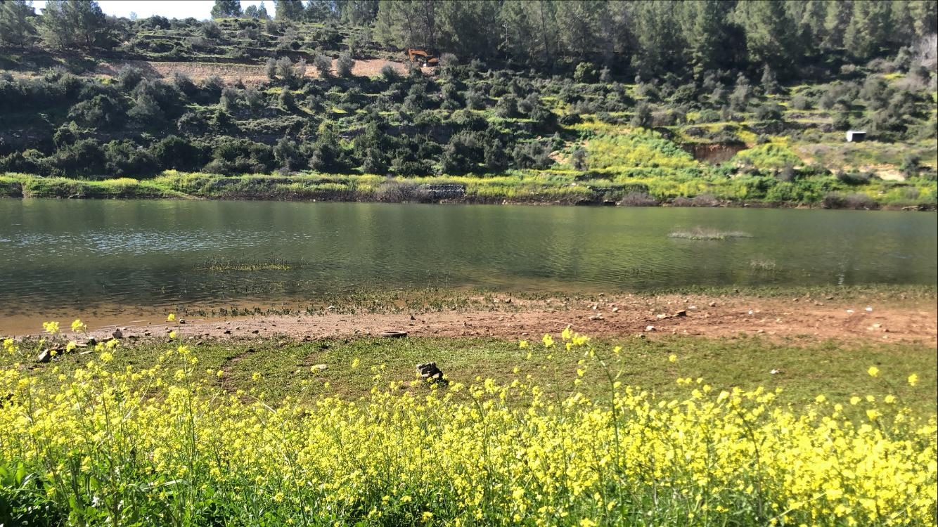 صورة سد وادي الصرار "بيت زايت"